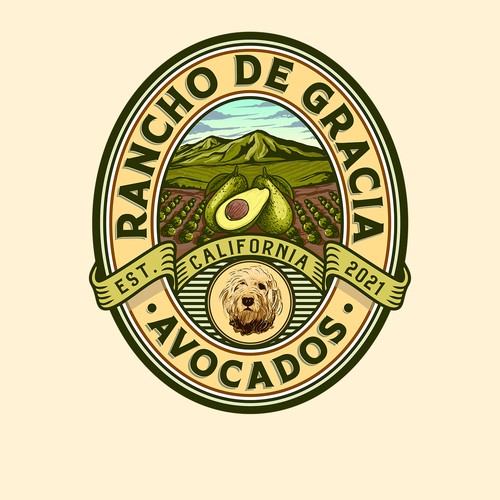 California Avocados