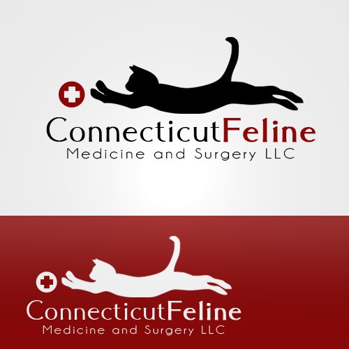 Help Connecticut Feline Medicine and Surgery LLC with a new logo