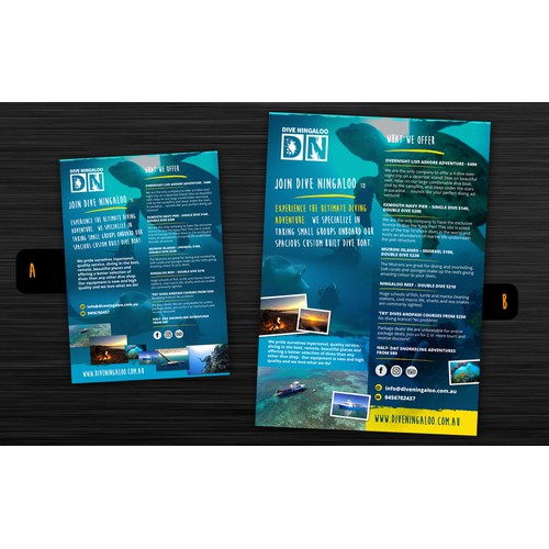 dive - poster / flyer