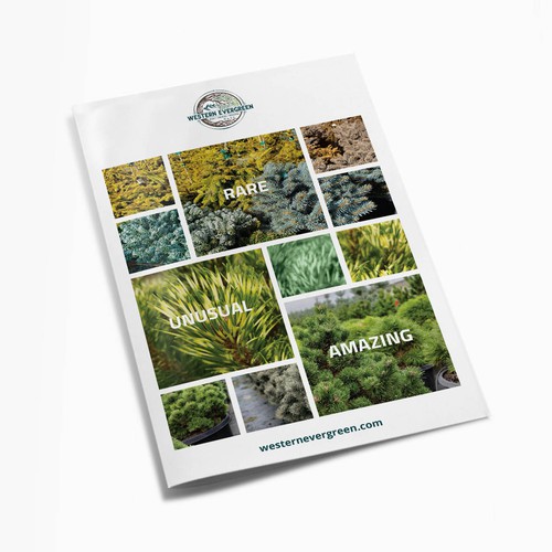 Informative Brochure for Western Evergreen