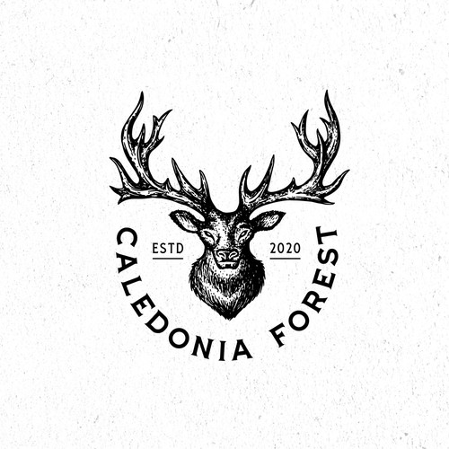 Caledonia Forest
