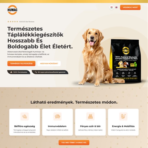 Create a unified design with our updated visual identity