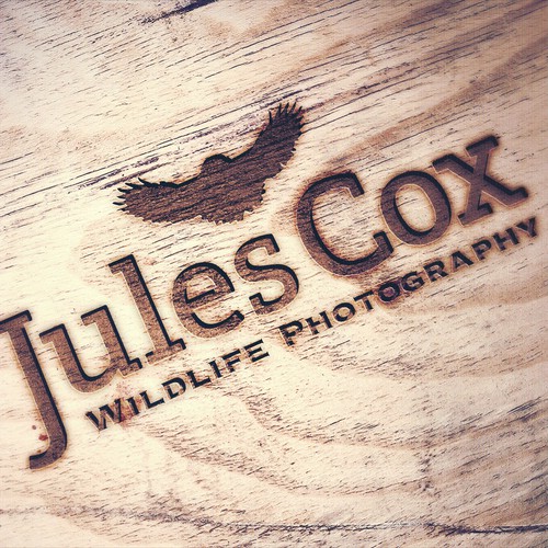 Create a beautiful logo for a professional wildlife photographer