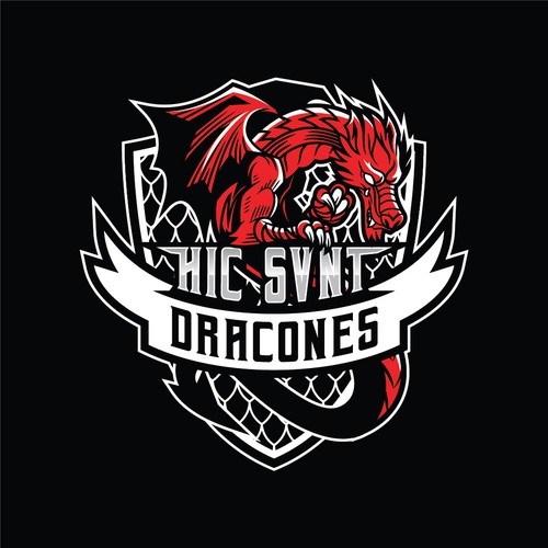 Dragon Logo for MMA Team