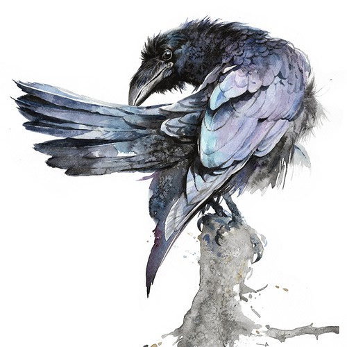 Raven
