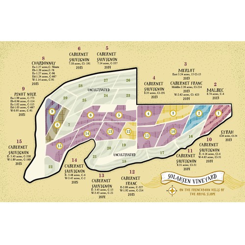 Vineyard Map Illustration