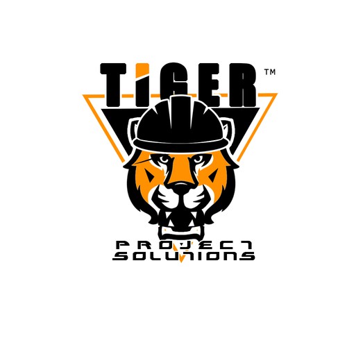 Logo concept for project solutions