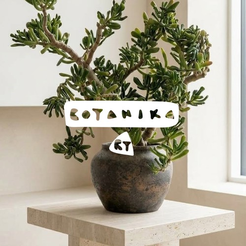 Botanika Art