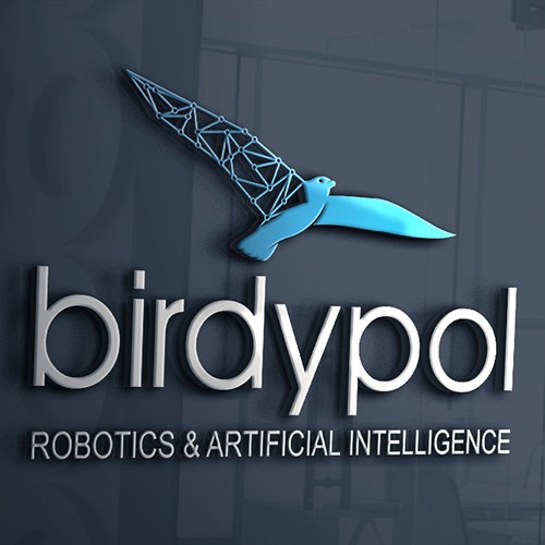 birdypol - Robotics & Artificial Intelligence