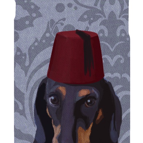 Dachshund 1