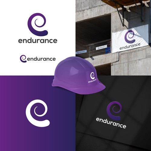 endurance logo