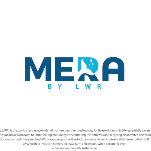 Logo Design for MERA.