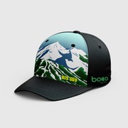 Reviewed design