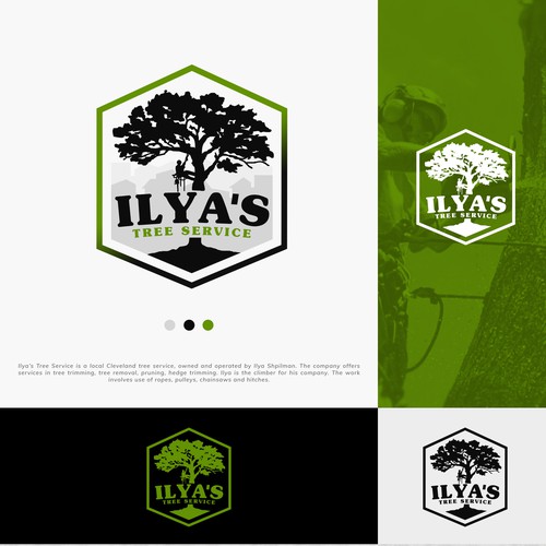 Ilyas Tree Service