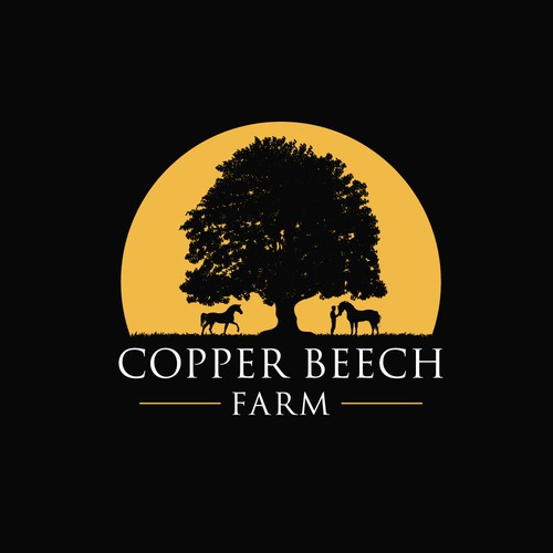 Copper Beech