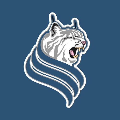 Oyster River Youth Association