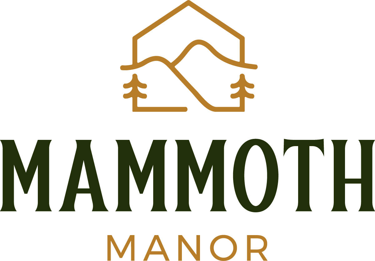 Exciting new brand needed
