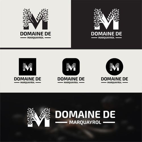 Modern Artistic Logo Concept for Domaine de Marquayrol
