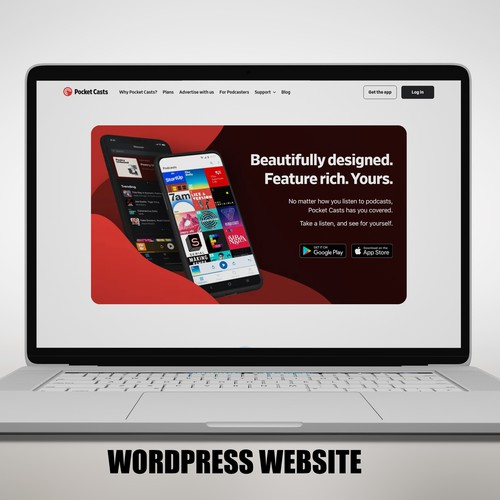 Professional Wordpress Website