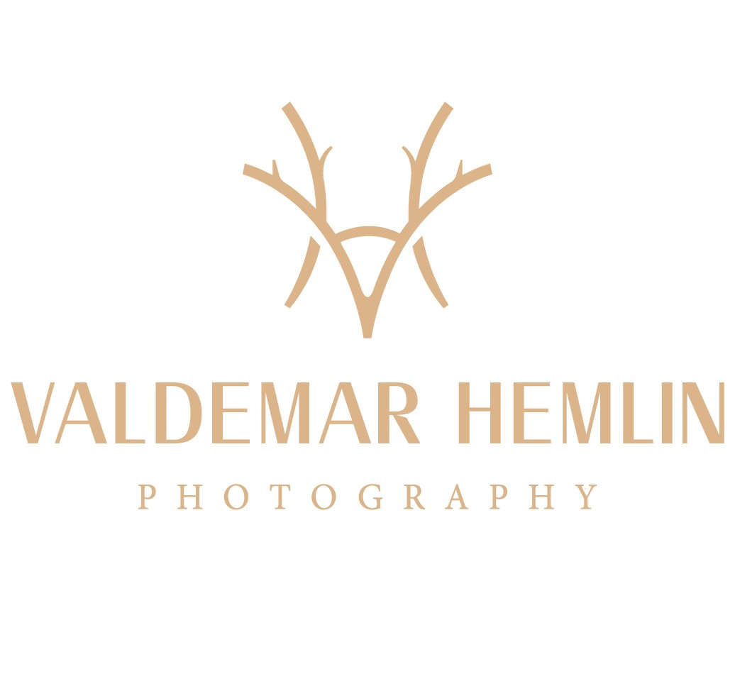 Design a luxurious logo with a touch of fun for a scandinavian wedding photographer