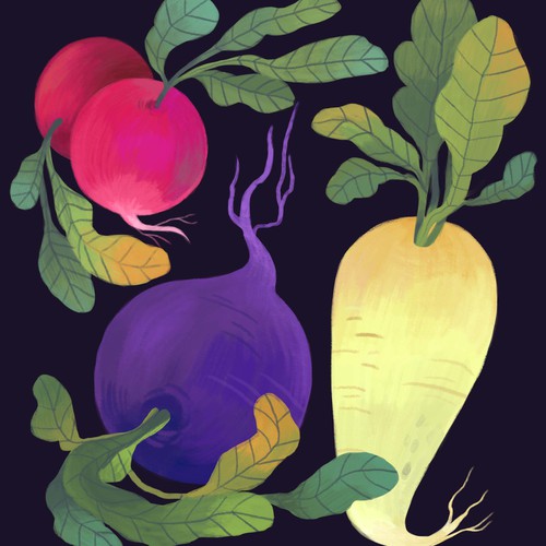 Food illustration