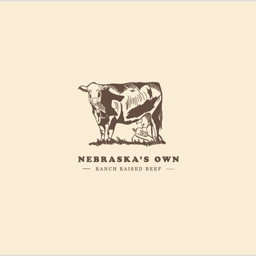 Logo concept for a Ranch Raised Beef barn