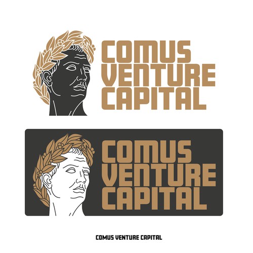 Logo for Venture Capital