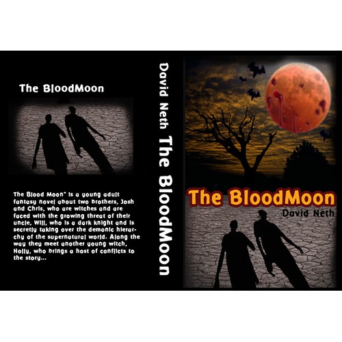 "The Blood Moon," a young adult fantasy novel about two brother witches