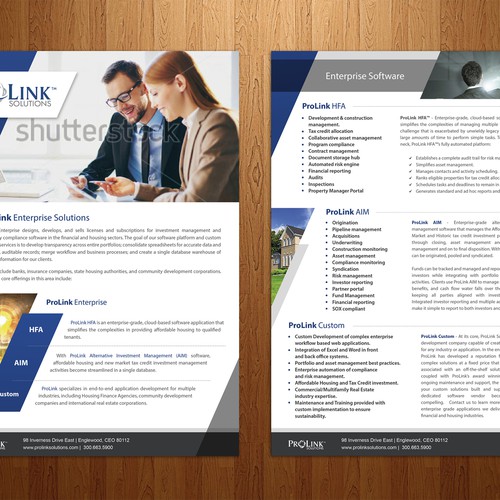 Prolink Solutions Flyer