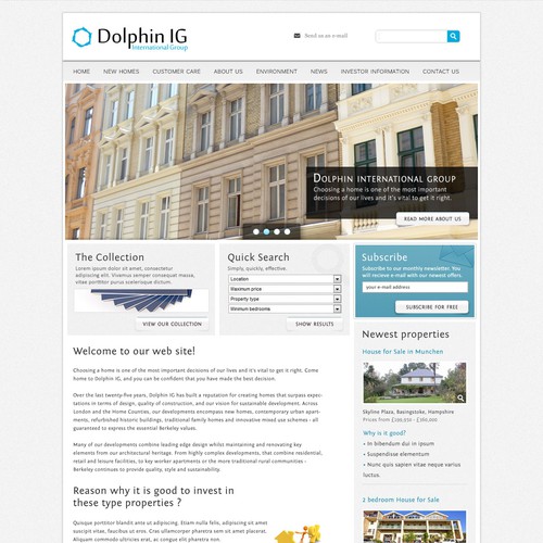 Dolphin IG  needs a new website design