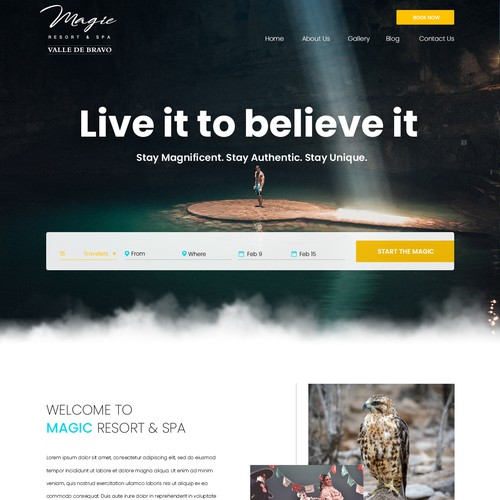 Travel Website