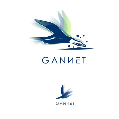 Gannet 