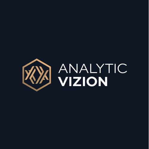 Logo designs for Analytic Vizion