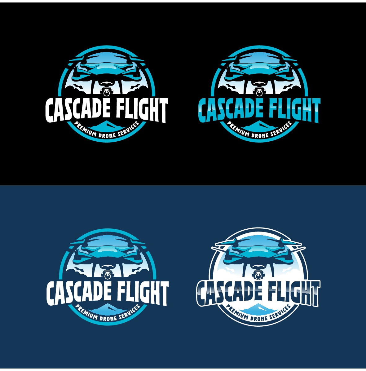 Why I want this logo for my Drone services company.