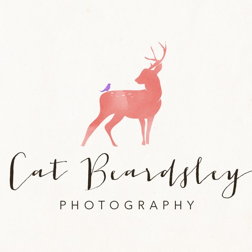 I need your expertise for a timeless and natural photography logo