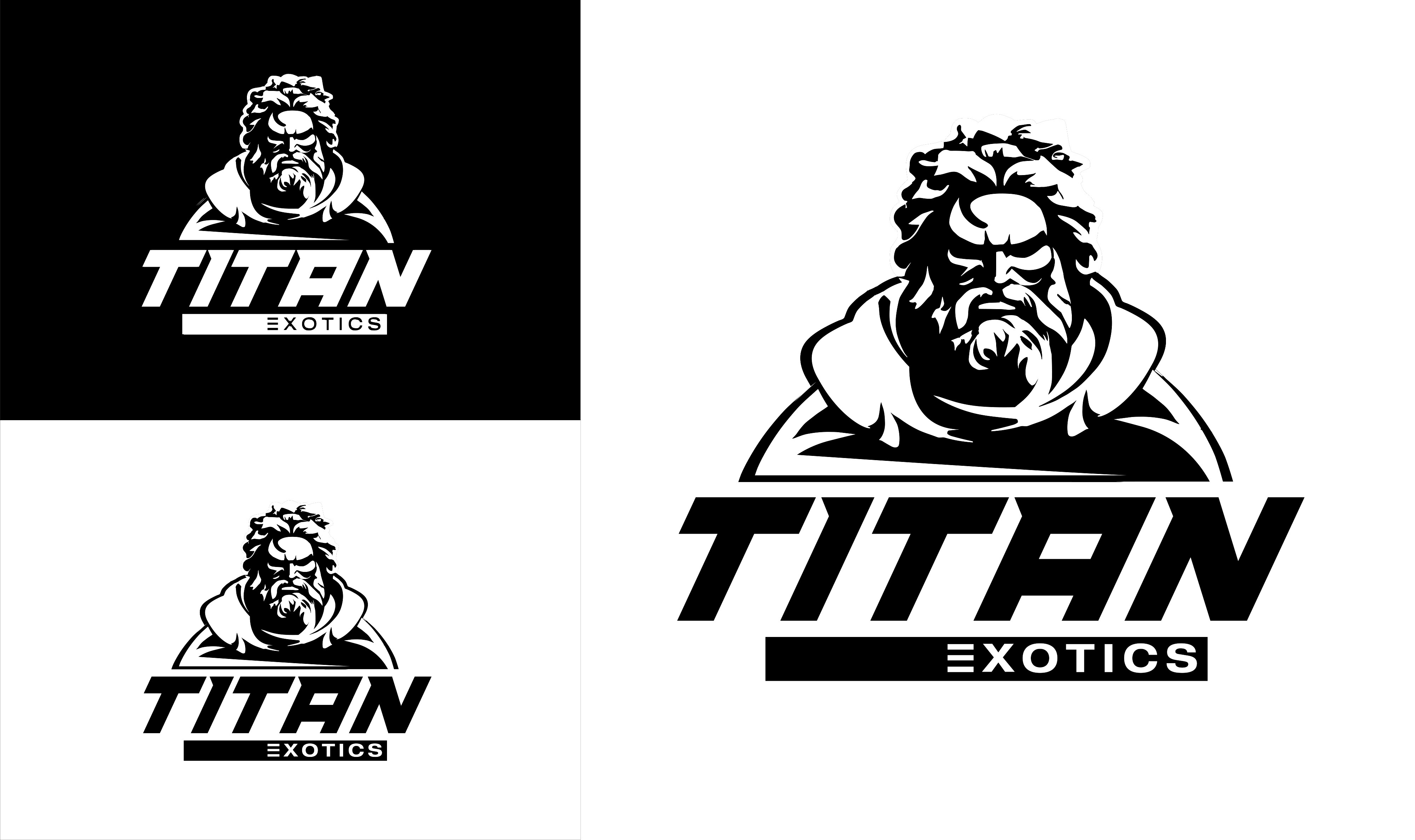 Exotic Car Rental Seeking Logo and Branding