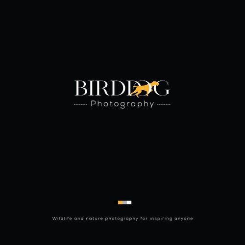 Bird Dog