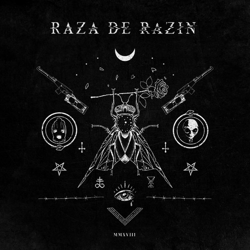 raza de razin