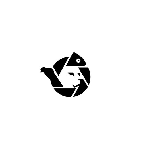 Camelion Films