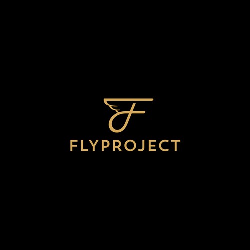 Fly Project