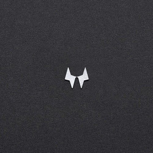 W A Y N E