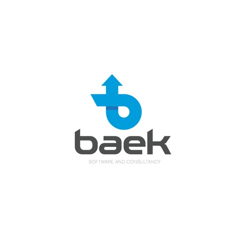 Baek: Software and consulting