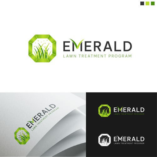 Emerald Lawn Treatment Program