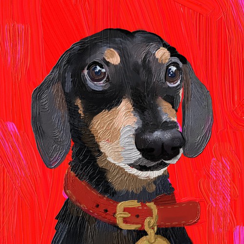 Vibrant Pet Portrait