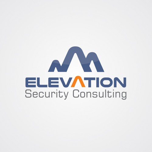 Elevation of the standard logo to secure our company's future