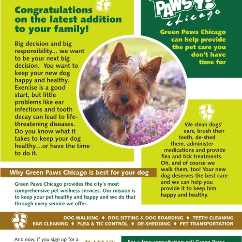 Green Paws Chicago LLC needs a new postcard or flyer