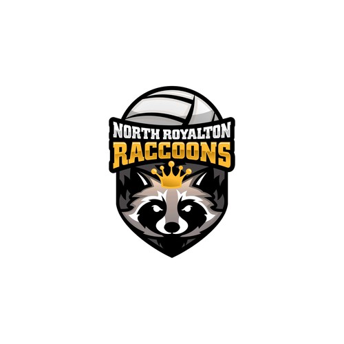 Sports Volleyball Logo