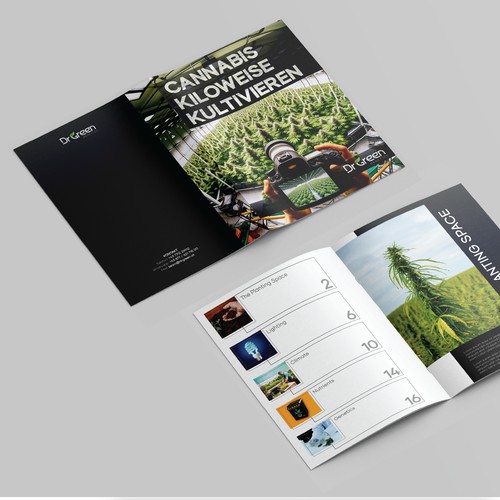 Modern, High-Quality Brochure for DrGreen