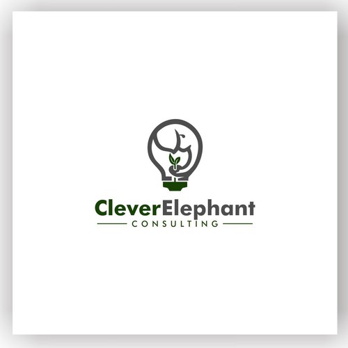 CLEVER ELEPHANT CONSULTING
