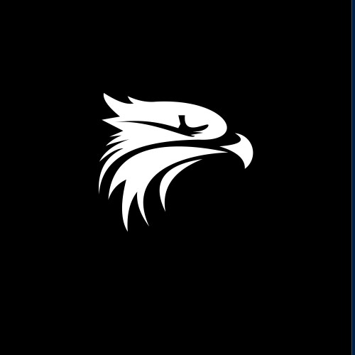 Design a powerful military based logo for Blackhawk Financial